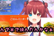 Vtuber 【夢月ロア】キャラの確立がハマってきて最近評価が上がってきている！？ライスバーガーは笑ったわｗｗｗ