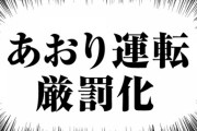 【クズ】とんでもない煽り運転の車が発見される