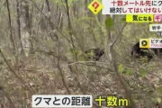 【絶対に走らないでください】クマは時速40km　人間が振り切るの無理　岩手・鞍掛山で登山客が至近距離で出くわす