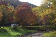 【勇払郡】穂別キャンプ場【動画】紅葉の見ごろ10月上旬～10月下旬♪