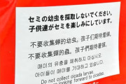 【文化】セミの幼虫「採取禁止」の張り紙　都内の公園、食用目的で乱獲か　中国語でも注意喚起
