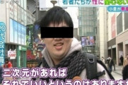 今のアニオタって『俺はもっと報われるべきだったのに女や社会のせいでこうなったんだ』という被害者意識や社会に対する復讐心持ってるの？