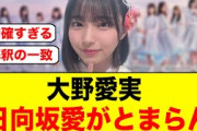 【日向坂とは〇〇である】大野愛実、加入後も日向坂愛が止まらない【日向坂46】