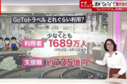 【衝撃】GoToトラベル、なんと3割が利用していた・・・お前らもネットではコロナばら撒きとか言って叩いてるけど普通に行ってるんだね