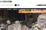 【熊本】保護猫活動をしていた51歳無職女、猫13匹を衰弱死させ逮捕　自宅からは「130匹」の猫の死骸を発見