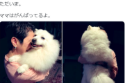 【画像】蓮舫、また犬を抱きしめる画像投稿「ただいま。ママがんばってるよ」決戦に向けラストスパートで犬再利用