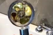 【動画】これは楽しいかも。プロペラ付きシャワーヘッドが気持ち良さそう。