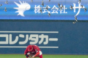 カープDeNA戦に『鳥の群れ』襲来！横浜スタジアム上空を旋回し試合中断！小園襲われバード喜ぶwwwww
