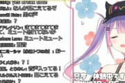 【放送事故】Vtuberさん、配信中に彼氏の声が入ってしまい炎上ｗｗｗｗｗｗ