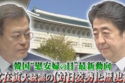 【歴史】「韓国は日本と戦って独立した」「建国は1919年」　ますます歴史歪曲を進める文政権　