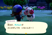 あつまれどうぶつの森 住民からのお願いを受けてみました