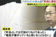 【冗談】町長「お前らの脳みそは鳩の脳みそより小さい」「育休を1年取ったら殺す」