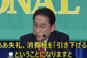 岸田総理「消費税を引き下げると、消費が減退するなど副作用が大きい」