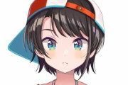 【悲報】人気Vtuberさん、ペルソナ実況で視聴者と違う意見を言ってしまいコメント大荒れ