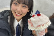 【AKB48】ケータリングのかき氷、1杯2000円する高級品だった🍧