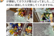 【悲報】オタクさん、フィギュアを入れてた「ガラス棚」が突然爆発し絶望するｗｗｗｗ