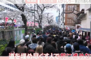 韓国人「韓国人が驚いた『桜を愛する日本人』がこちらです…」大勢の人が集まった日本人の桜への愛情が分かる画像　韓国の反応