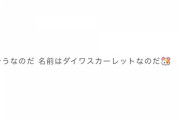 【乃木坂46】もしかして、池田瑛紗って・・・