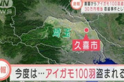 【悲報】アイガモ100羽(時価30万円)が農園から盗まれてしまう・・