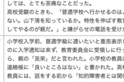【画像】「障害者差別を受けたと感じた事例」がこちら