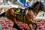 ベラジオオペラ、横山和生で日本ダービーへ　田辺はプリンシパルSで乗り馬確保