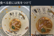 【悲報】丸亀製麺、話題のシェイクうどんに”生きたカエル”が混入していたと判明