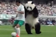 中国人「サッカー日本1-0イングランド、日本は世界強豪の仲間入り」　中国人「ティキタカと民族性の融合」「今日から日本のファンになる」