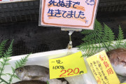 【画像】鮮魚店さんふざけたポップで集客をしてしまうｗｗｗｗｗｗｗｗｗｗｗｗ