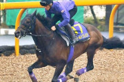 【馬に罪はないが】クソっ…何度予想しても1番信頼出来る馬がワールドプレミアになってしまう…！