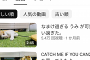 【悲報】海に浮かぶ子猫を保護したYouTuber、動画投稿がピタリと止まってしまうｗｗｗｗｗ
