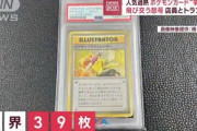【人生相談】23歳ポケモンカード転売ヤーのワイの将来を考えるスレ