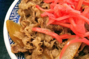 【悲報】紅しょうがさん、牛丼以外使い道なし