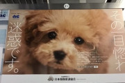 まんさん「炎天下で犬の散歩が虐待？　時間の都合もあるんですけど」