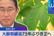 科学者「大麻自由化で被験者が爆増したから分かったけど重度の依存性あるわ、コカインより酷くて草」