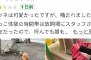 【朗報】キツネ村でキツネを蹴ったり、自作自演営業妨害をした婚活おばちゃん、天罰を受ける模様