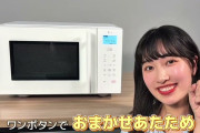 【朗報】理想の電子レンジ、ついに発売されてしまう