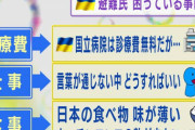 【悲報】ウクライナ難民「日本の食事マッッッズ！！！！！！！」