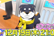 【にじさんじ】次回放送のにじクイ、仲良しトリオ「黒夢町」がやってきた！！！3Dになった犬、クイズをする。
