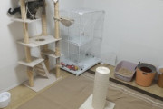 猫好き来てくれ、猫部屋のアドバイスくれへんか？