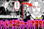 【悲報】HUNTER×HUNTER、更にややこしくなる