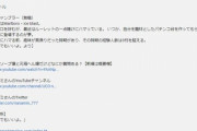 【Vtuber】この概要欄のせいでやたら検索やおすすめに表示される
