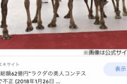 【悲報】美人ラクダ度を競う「美ラクダコンテスト」で整形手術を受けた43頭のラクダが失格