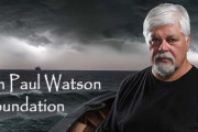 タイタニック監督、元007俳優も参戦　「日本は100年遅れている」「法律を尊重しない国」…日本人だけが知らない「シー・シェパード」創設者釈放運動の熱狂