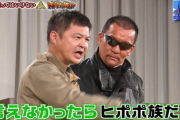 山崎邦正さんがビンタされた理由一覧www