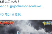 【画像】ポケモン公式、がっつりミスしてしまうwwww