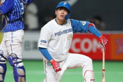 日ハム3年連続で交流戦負け越し　4番野村佑希が3連戦12打数無安打5三振