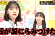 堀未央奈さん、れなちさんの扱い方をよくわかってるｗｗｗ【乃木坂46】