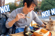 海外視聴者「ここ行った！恋しいなあ～」シカには要注意！？奈良の観光名所を巡る旅