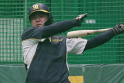 阪神陽川「確実性上げないと」来季ノルマは２ケタ弾