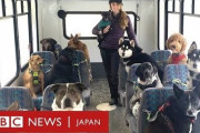 イッヌ「20年以内に飼い主を不幸にすることが約束されています」←コイツがペットとして飼われている理由w?